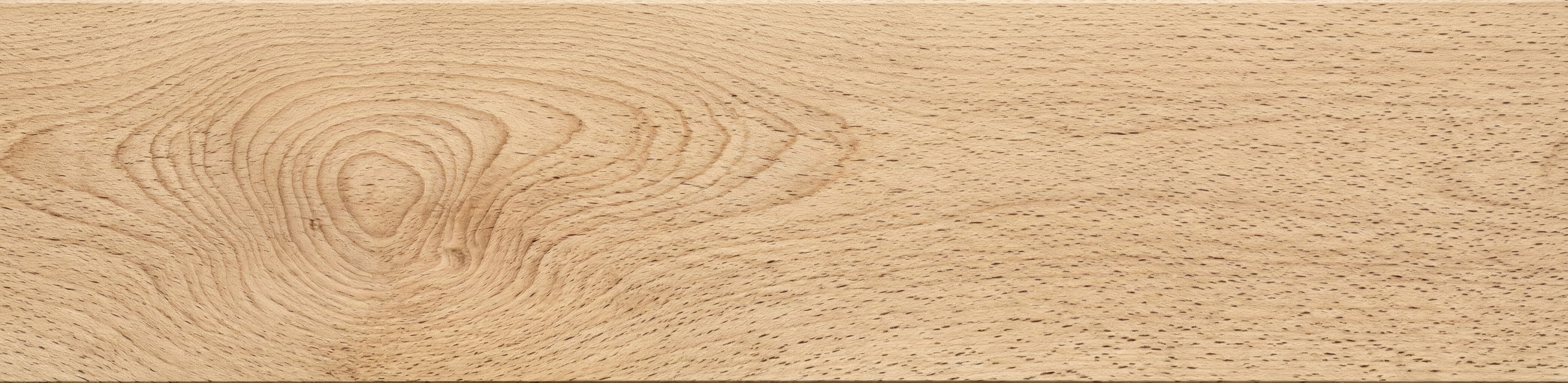 Beech wood grain panorama