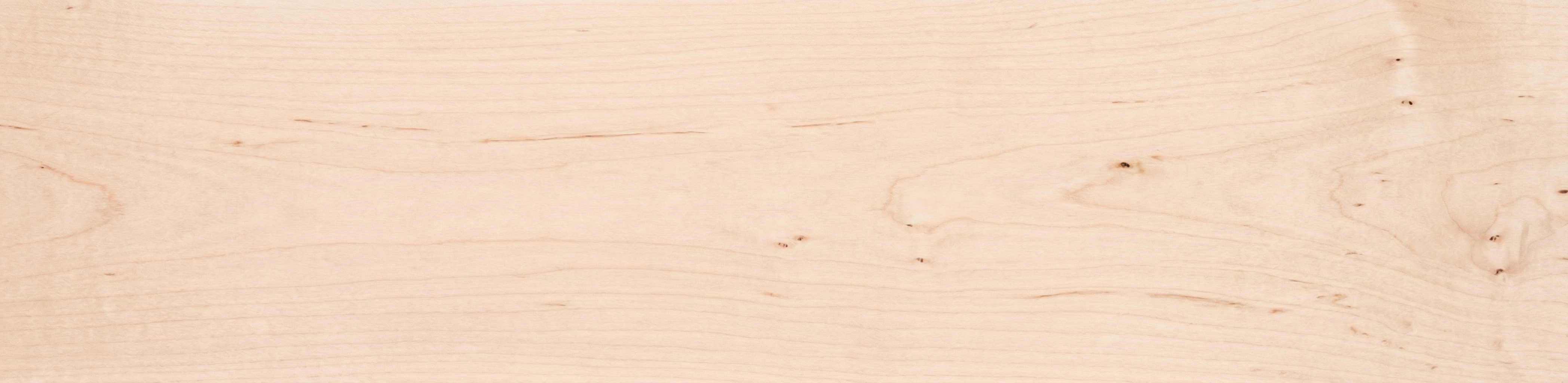 Birch wood grain panorama