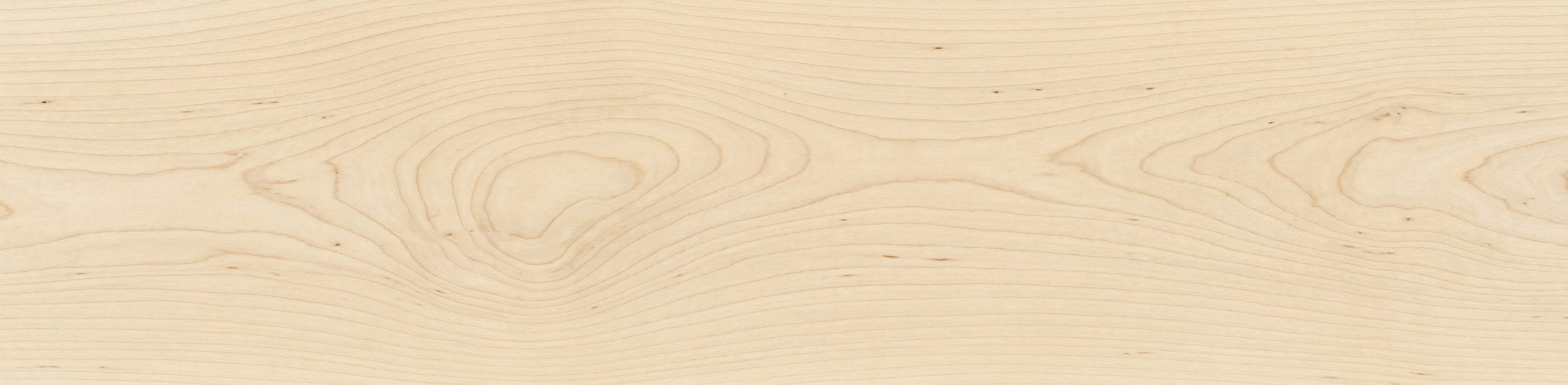 Hard Maple wood grain panorama