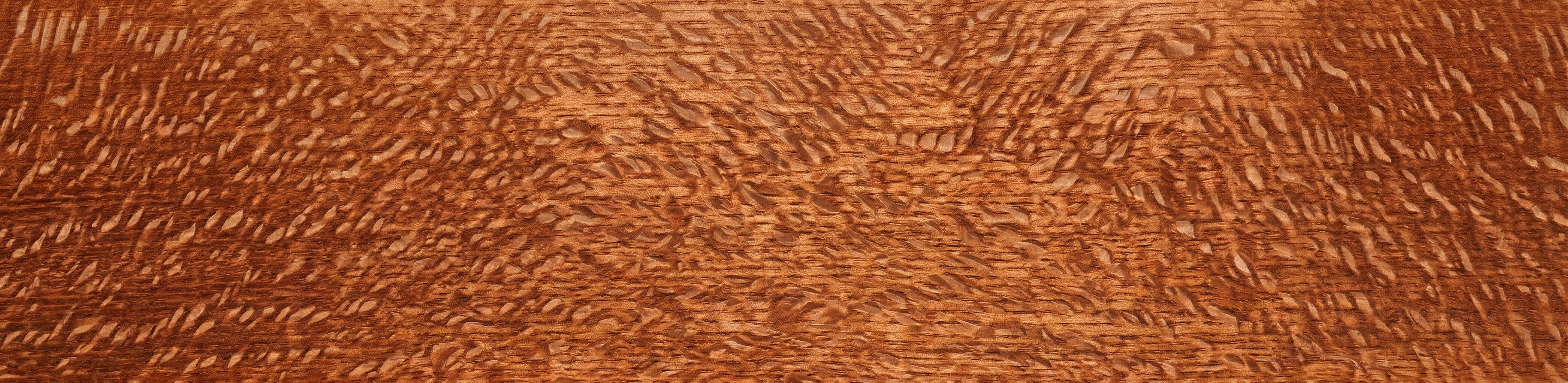 Lacewood wood grain panorama