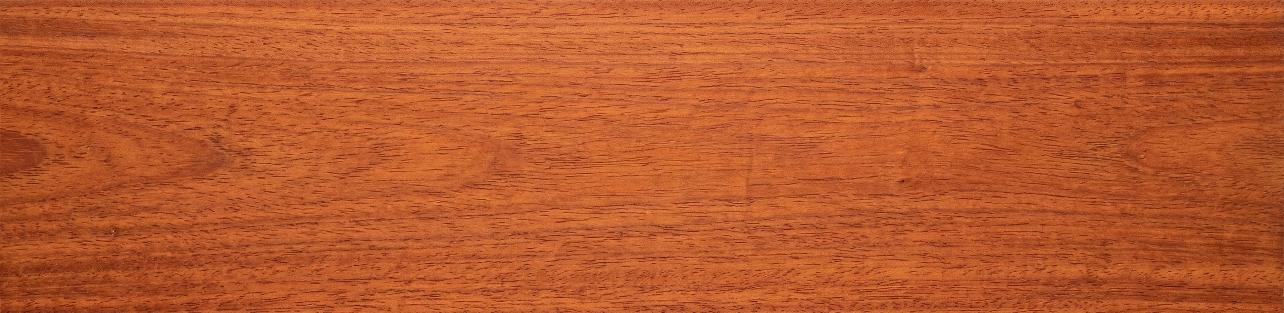 Padauk wood grain panorama