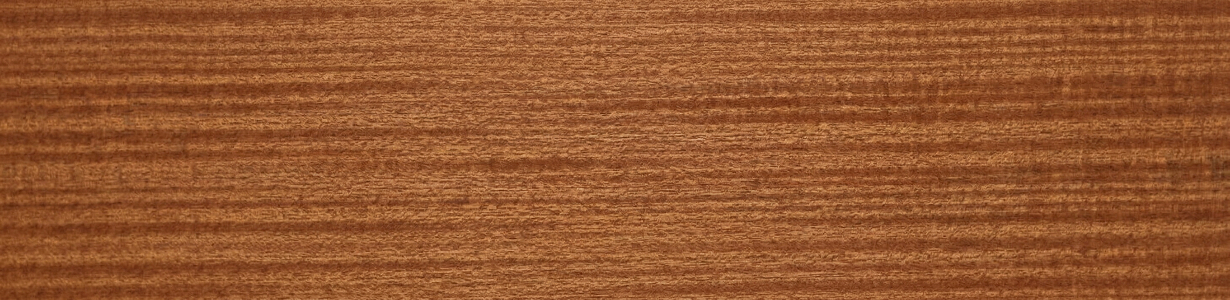 Quarter Sawn Sapele wood grain panorama