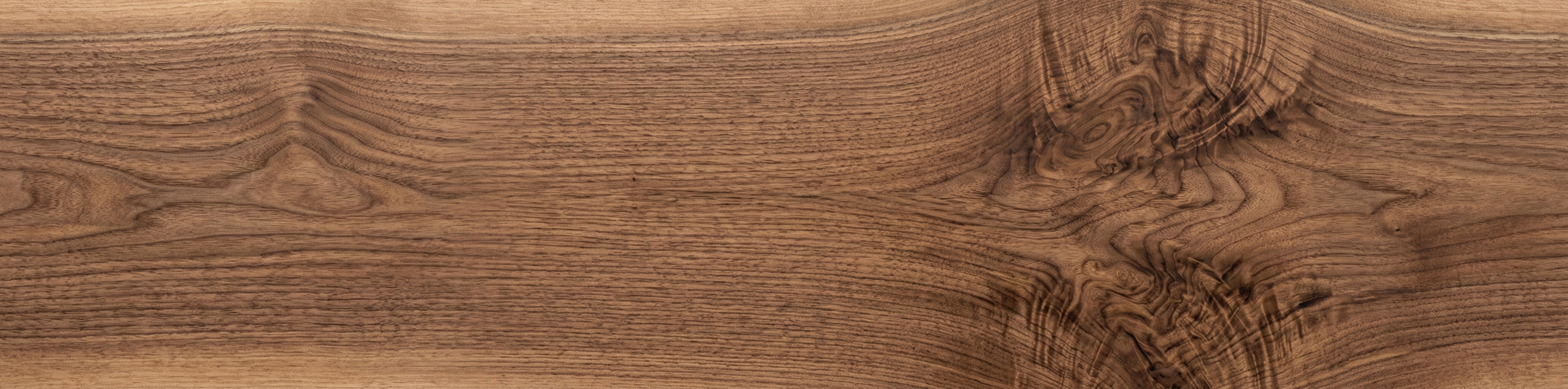Black Walnut wood grain panorama
