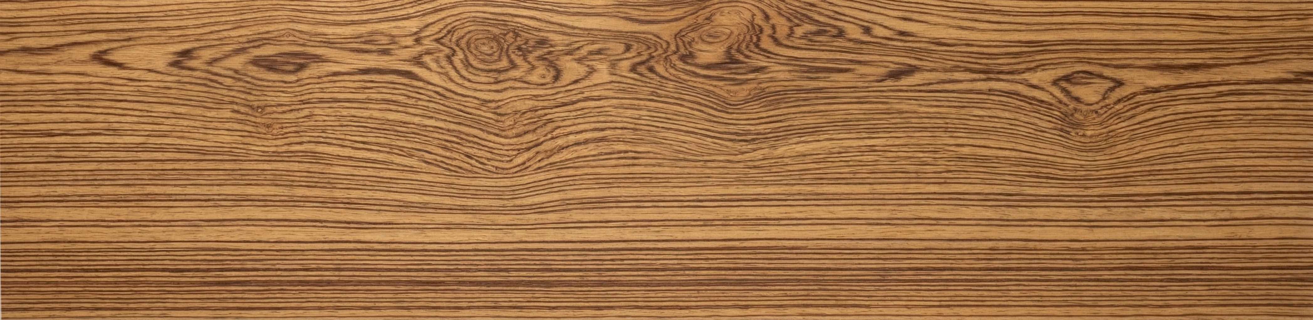 Zebrawood wood grain panorama